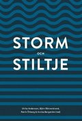 Storm och stiltje (2019)