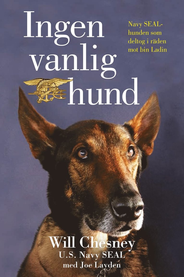 Will Chesney, Joe Layden - Ingen vanlig hund, E-bok