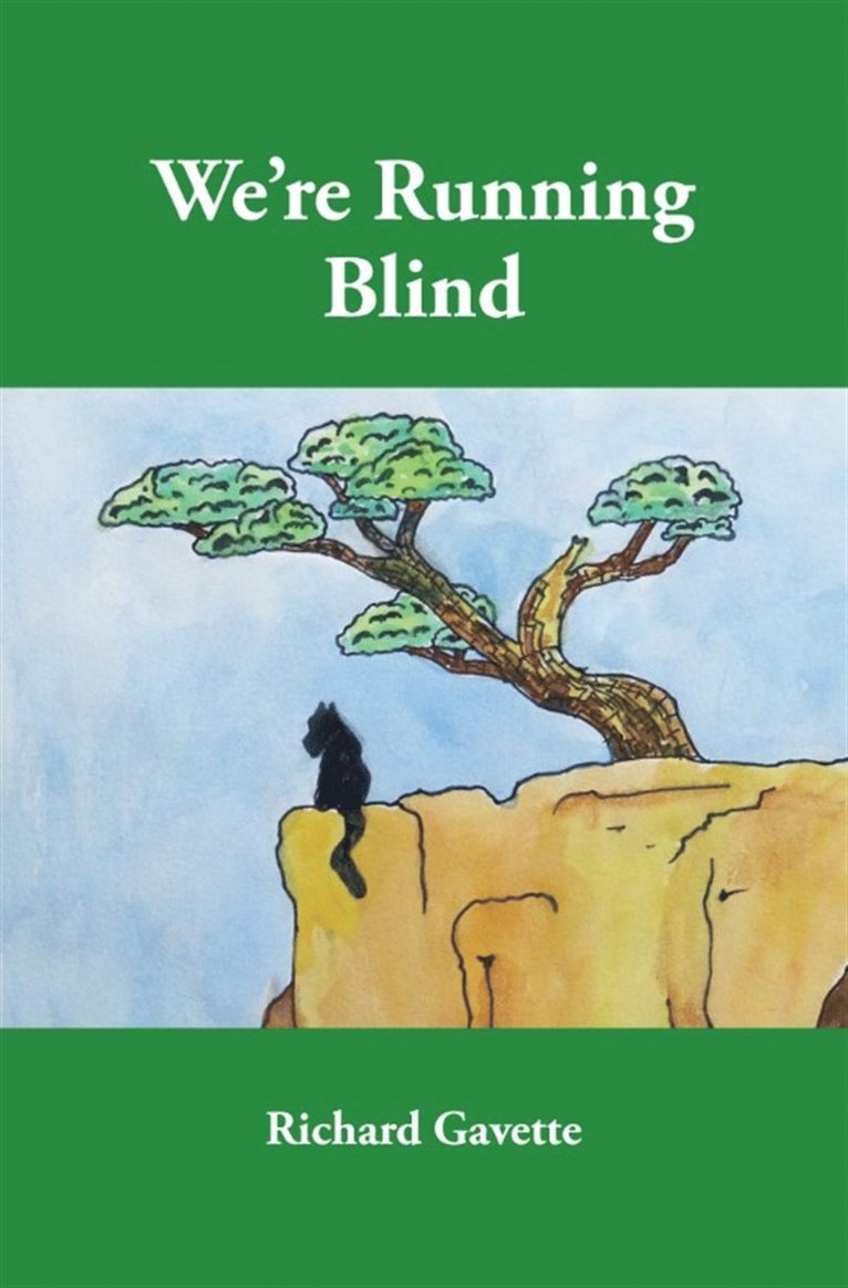 Richard Gavette - We're Running Blind, E-bok