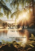 Skärvor av liv : tre texter