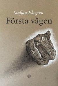 Frsta vgen