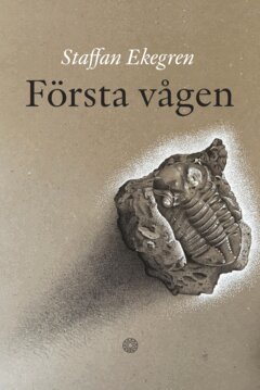 Staffan Ekegren - Första vågen, E-bok