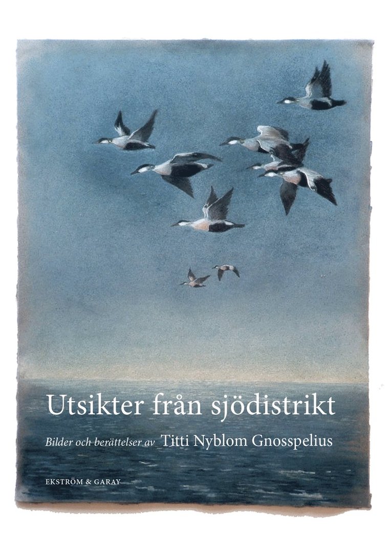 Titti Nyblom Gnosspelius - Utsikter från sjödistrikt, Inbunden