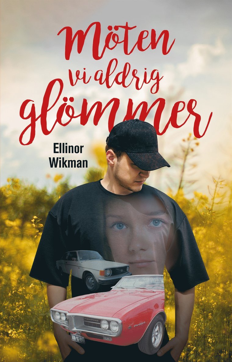 Ellinor Wikman - Möten vi aldrig glömmer, E-bok