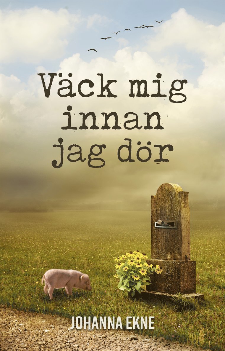 Johanna Ekne - Väck mig innan jag dör, E-bok