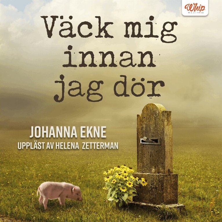 Johanna Ekne - Väck mig innan jag dör, Ljudbok