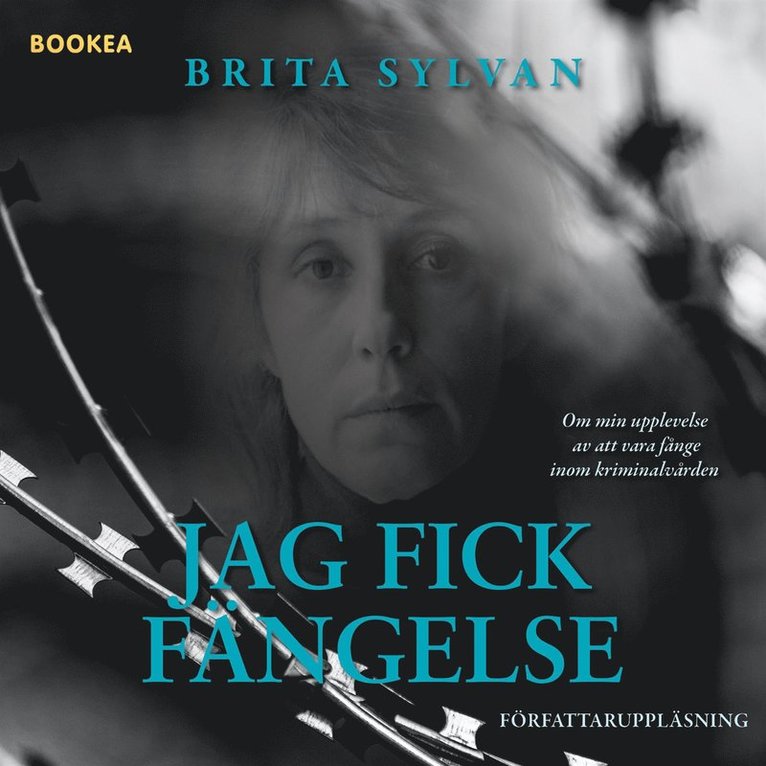 Brita Sylvan - Jag fick fängelse, Ljudbok