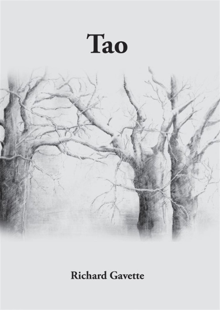 Richard Gavette - Tao, E-bok
