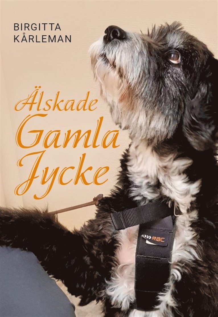 Birgitta Kårleman - Älskade gamla jycke, E-bok
