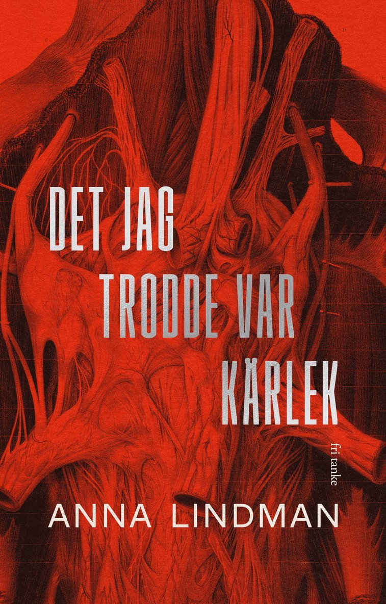 Anna Lindman - Det jag trodde var kärlek : en bok om psykiskt våld, E-bok