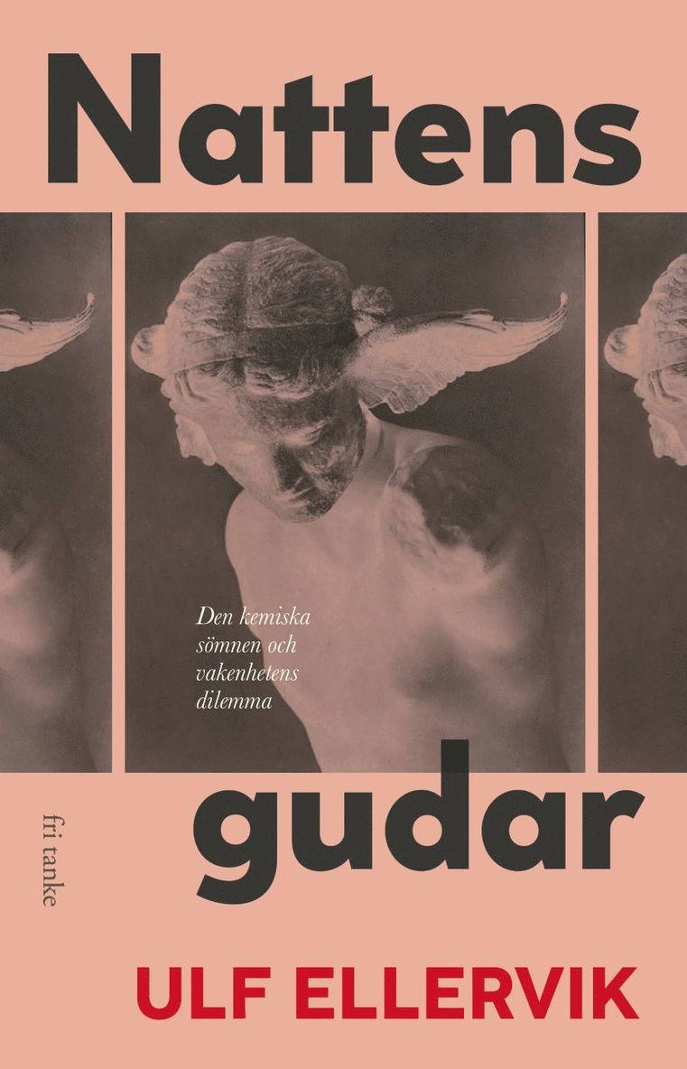 Ulf Ellervik - Nattens gudar : den kemiska sömnen och vakenhetens dilemma, E-bok