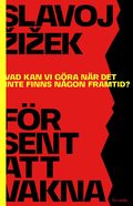Fr sent att vakna : vad kan vi gra nr det inte finns ngon framtid?