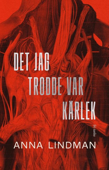 Det jag trodde var kärlek : En bok om psykiskt våld