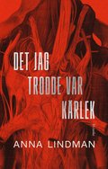 Det jag trodde var kärlek : en bok om psykiskt våld