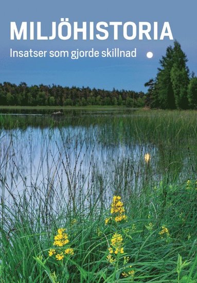 Miljöhistoria : insatser som gjorde skillnad