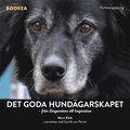 Det goda hundgarskapet : frn desperation till inspiration