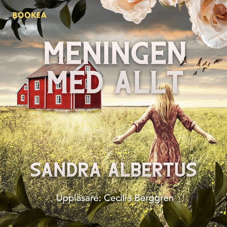Sandra Albertus - Meningen med allt, Ljudbok