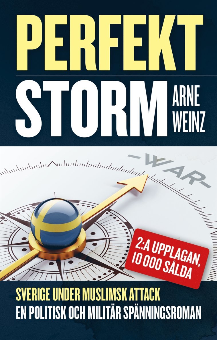 Arne Weinz - Perfekt storm, E-bok