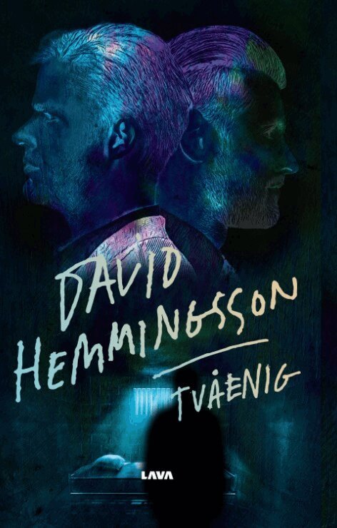 David Hemmingsson - Tvåenig, Häftad