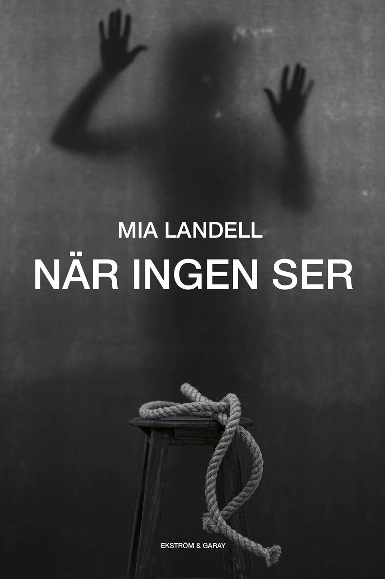 Mia Landell - När ingen ser, Inbunden