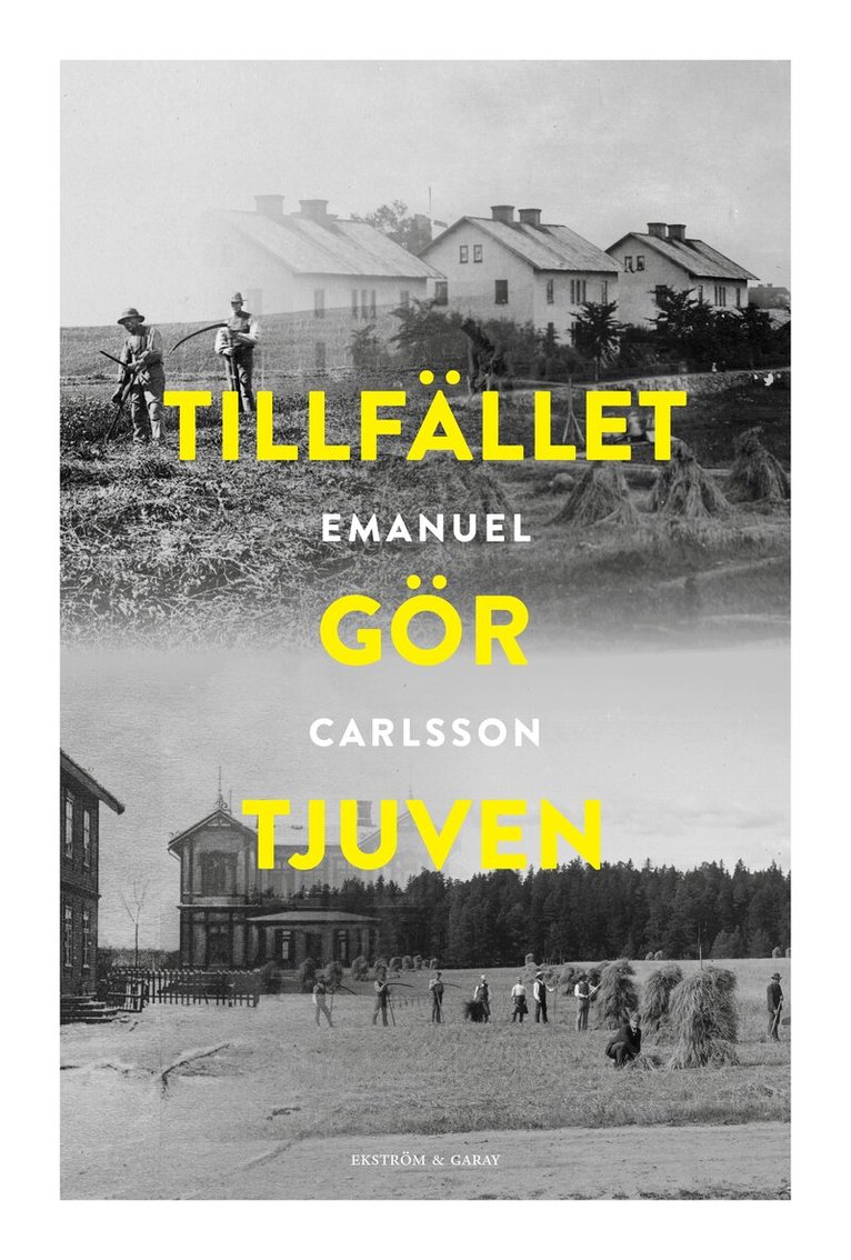 Emanuel Carlsson - Tillfället gör tjuven, Inbunden