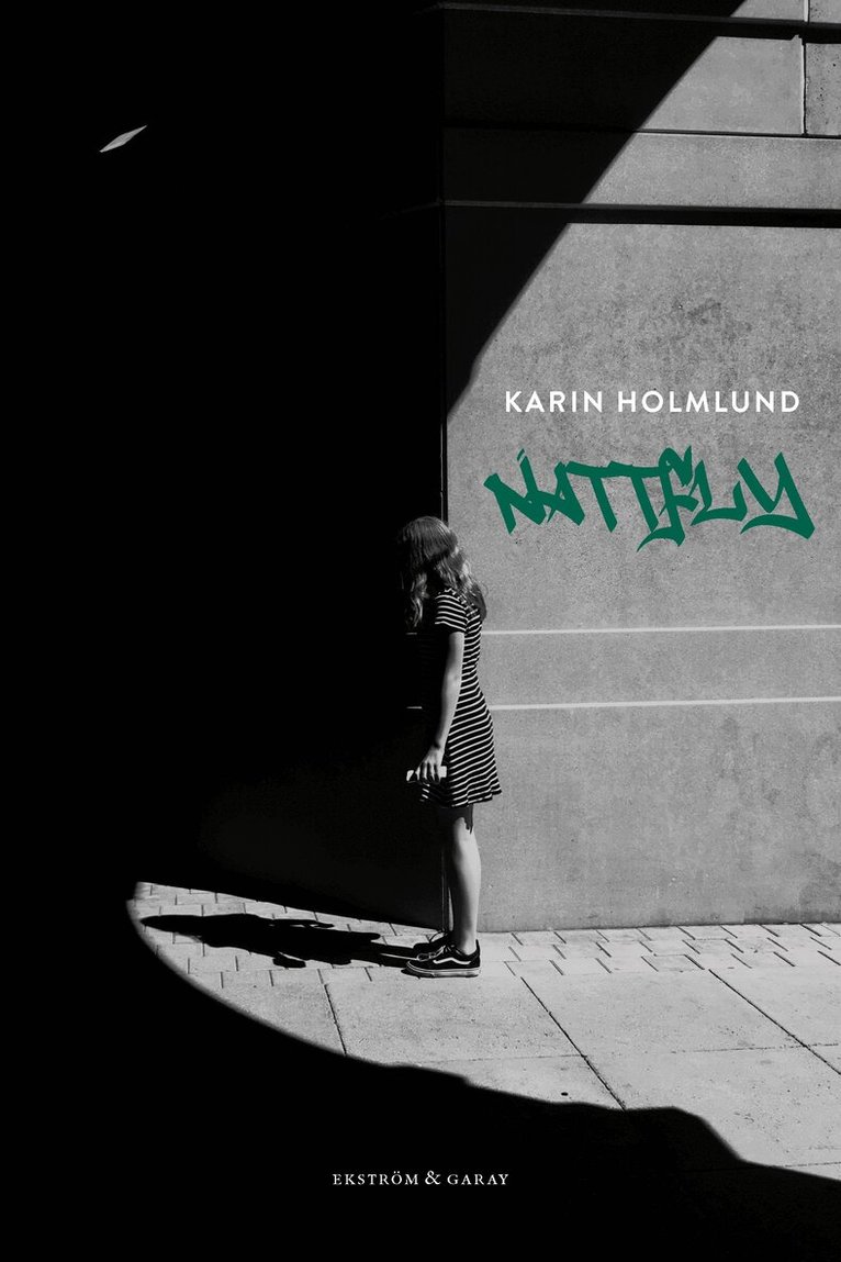 Karin Holmlund - Nattfly, Inbunden