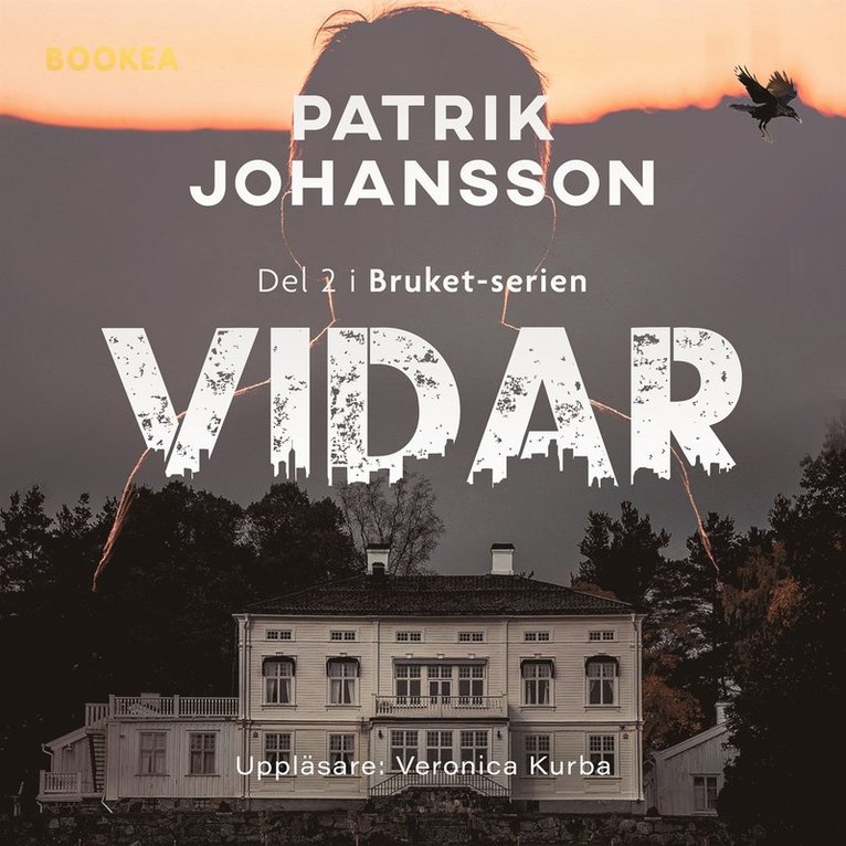 Patrik Johansson - Vidar, Ljudbok