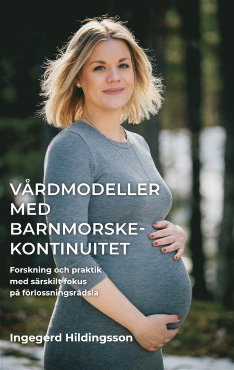 Ingegerd Hildingsson - Vårdmodeller med barnmorskekontinuitet : forskning och praktik med särskilt fokus på förlossningsrädsla, E-bok