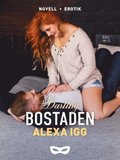 Bostaden