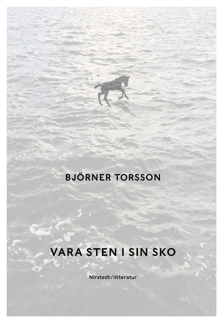 Björner Torsson - Vara sten i sin sko, E-bok