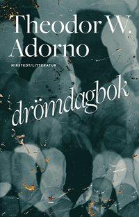 Drmdagbok