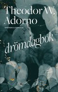 Drmdagbok