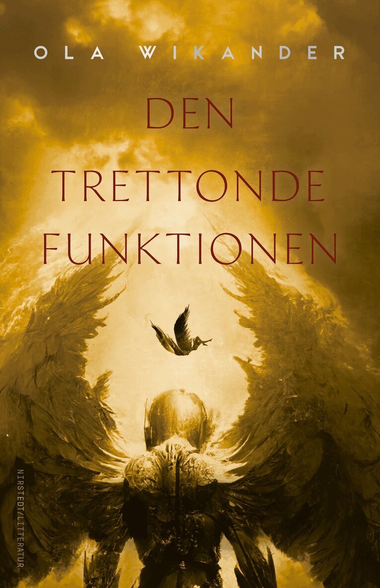 Ola Wikander - Den trettonde funktionen, E-bok