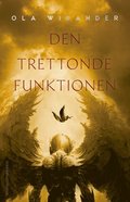 Den trettonde funktionen