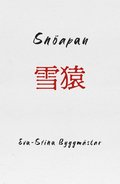 Snöapan
