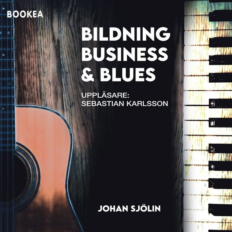 Johan Sjölin - Bildning, business och blues : en friskoleentreprenörs resa över 30 år, Ljudbok