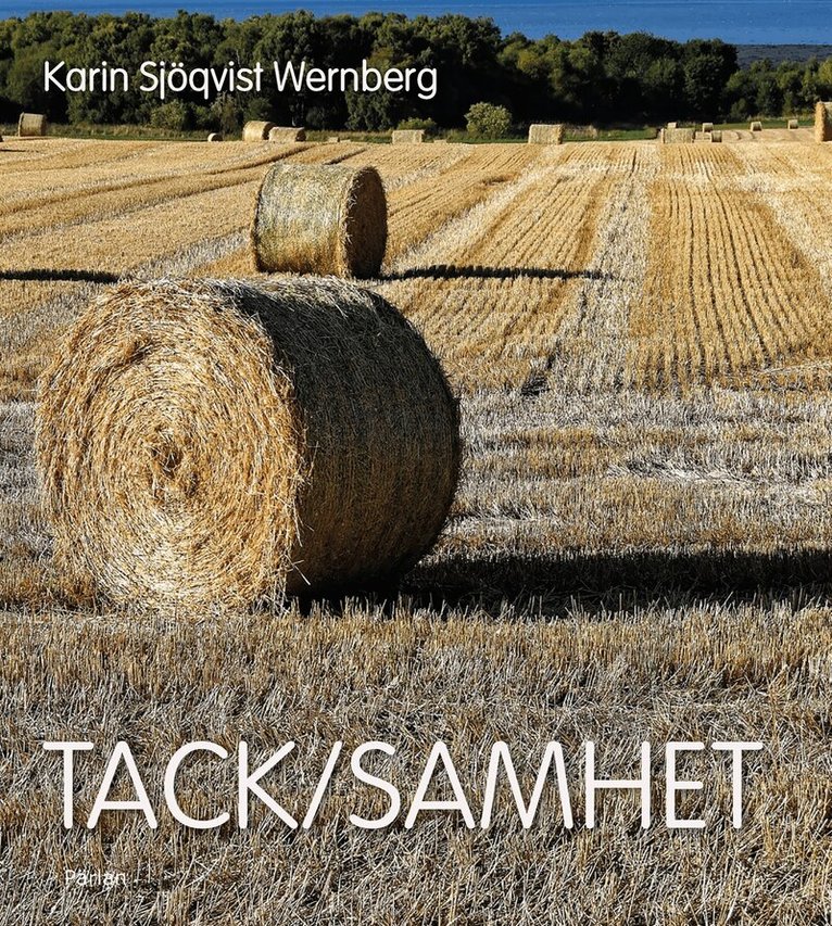 Karin Sjökvist Wernberg - Tack/samhet, E-bok