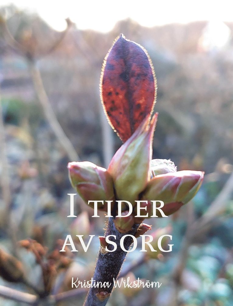 Kristina Wikström - I tider av sorg, E-bok
