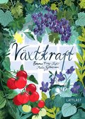 Vxtkraft (lttlst)