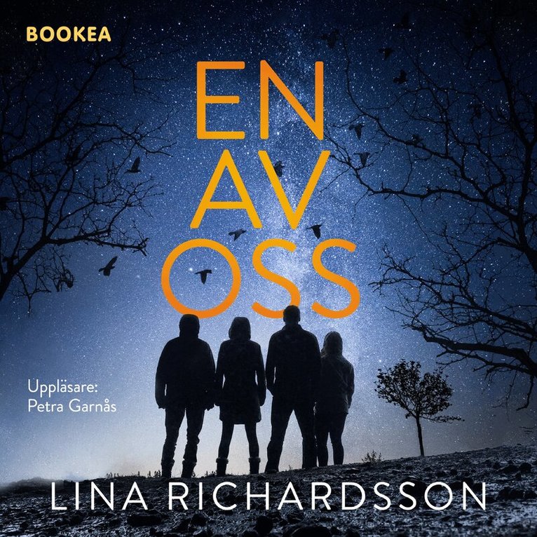 Lina Richardsson - En av oss, Ljudbok