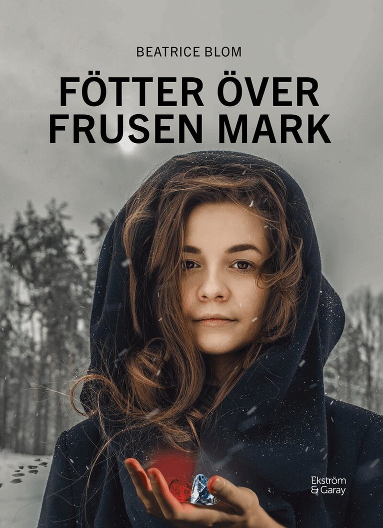 Beatrice Blom - Fötter över frusen mark, Häftad