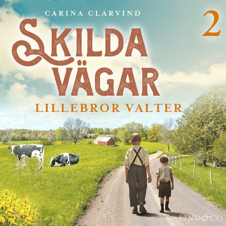 Carina Clarvind - Lillebror Valter, Ljudbok
