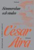 César Aira - Sömmerskan och vinden, E-bok
