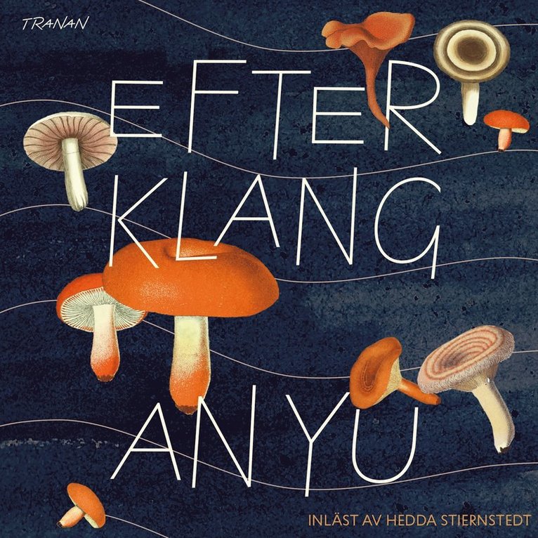 An Yu - Efterklang, Ljudbok