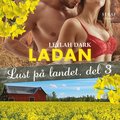 Lust p landet 3: Ladan