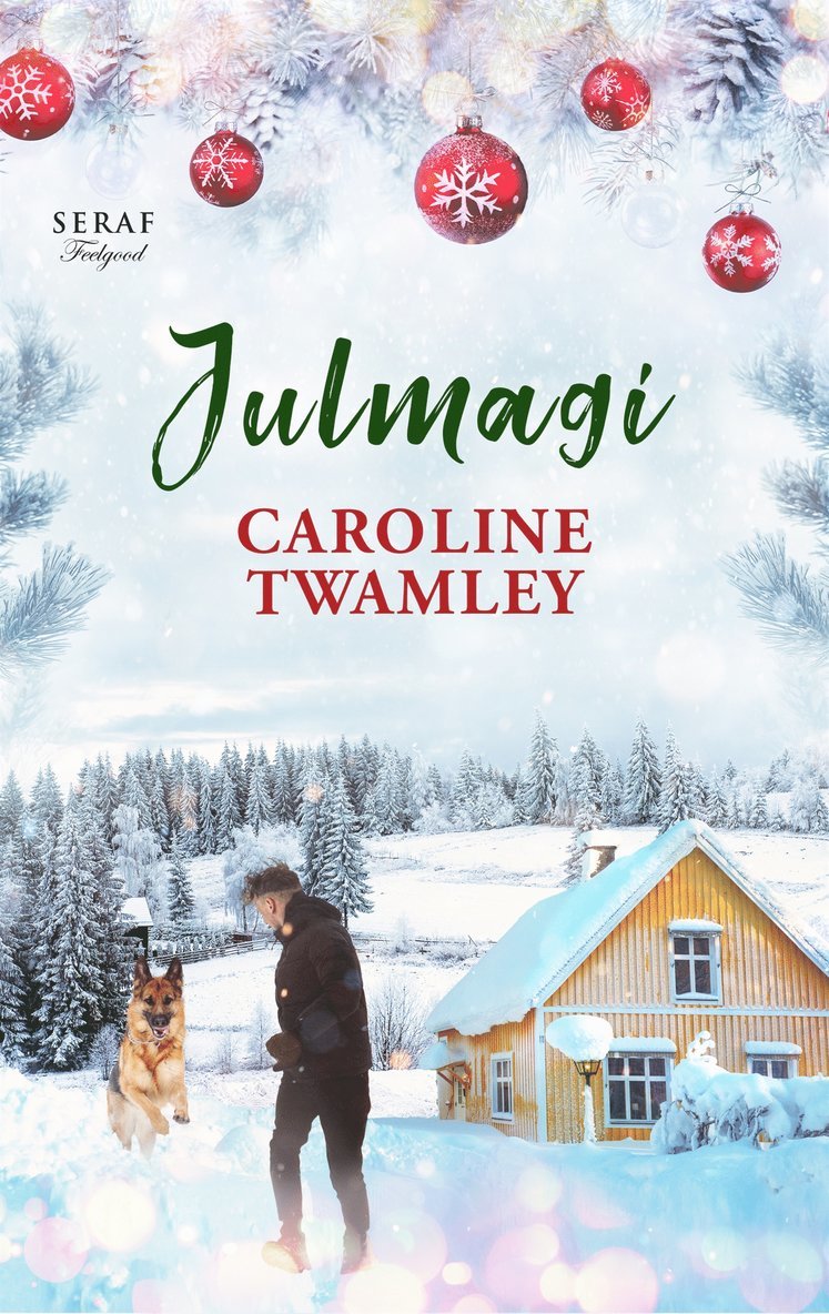 Caroline Twamley - Julmagi, E-bok