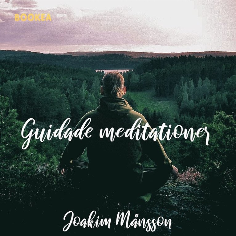 Joakim Månsson - Egot vår falska självbild, Ljudbok