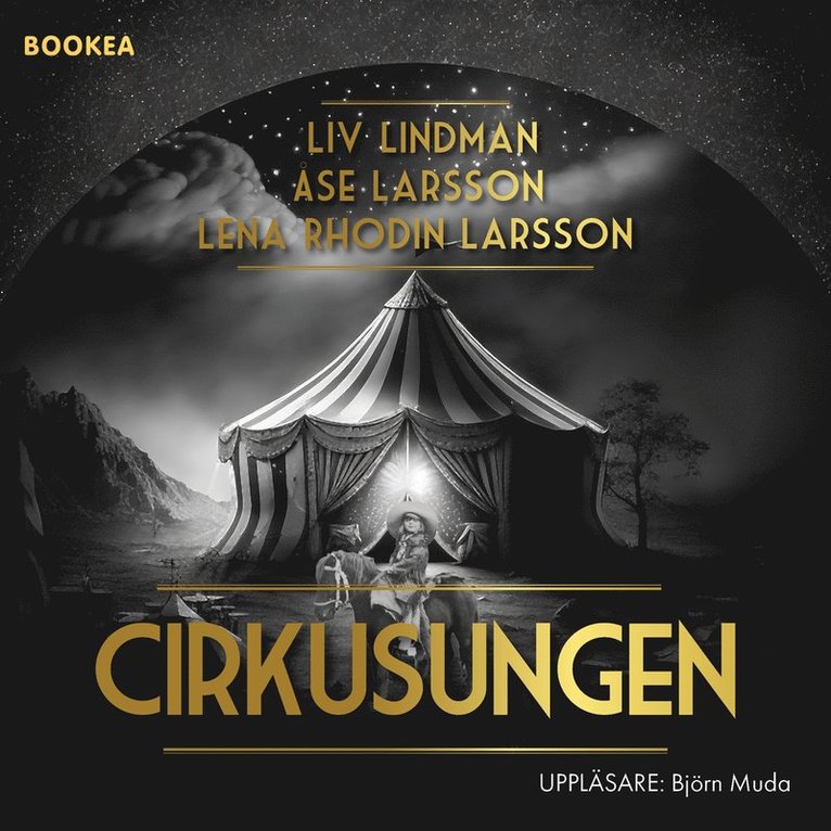 Liv Lindman, Åse Larsson, Lena Larsson - Cirkusungen, Ljudbok