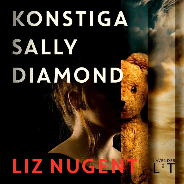 Liz Nugent - Konstiga Sally Diamond, Ljudbok