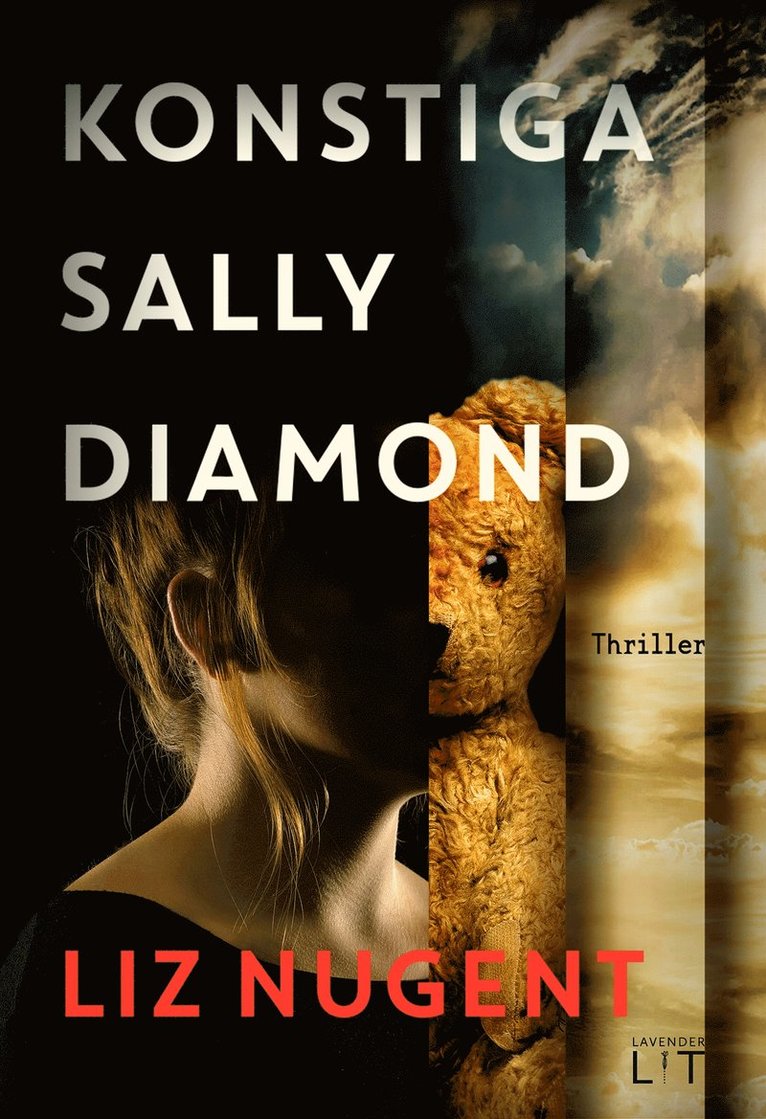 Liz Nugent - Konstiga Sally Diamond, E-bok